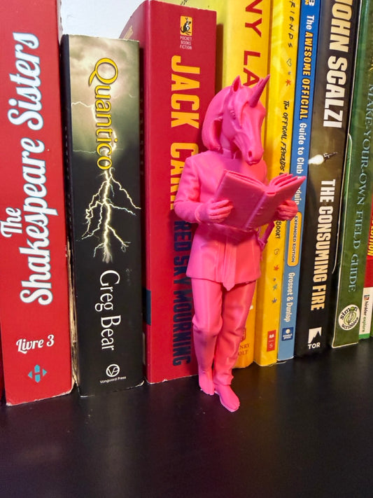 Unicorn Bookend – Funny Fantasy Bookshelf Decor