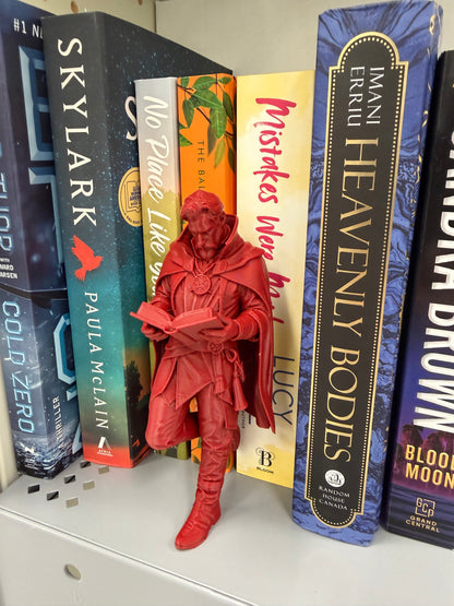 Wizard Reader Bookshelf Decor