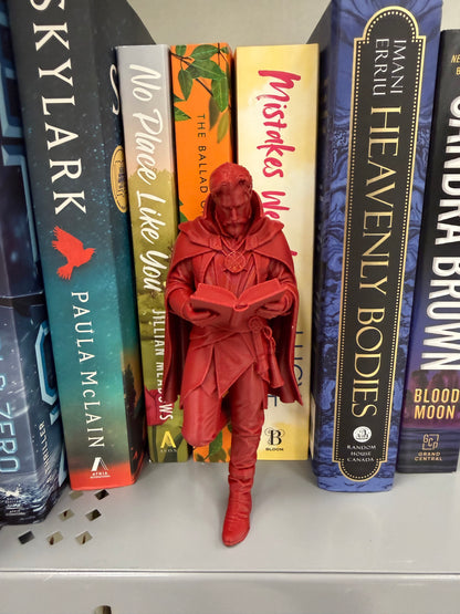 Wizard Reader Bookshelf Decor