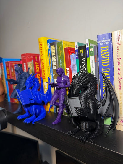 Fantasy Dragon Rider Inspired Reading Bookend -For Book Lovers