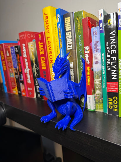 Fantasy Dragon Rider Inspired Reading Bookend -For Book Lovers