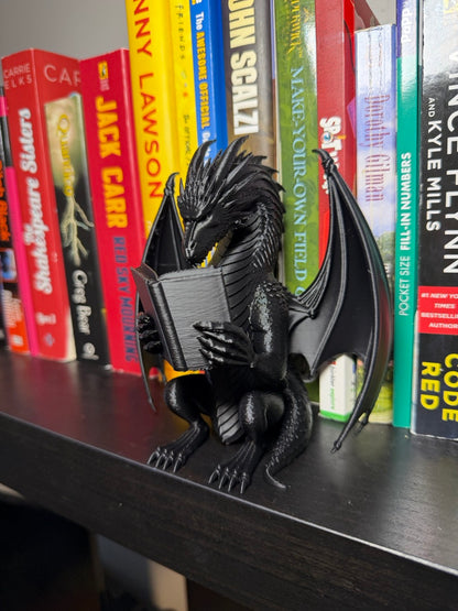 Fantasy Dragon Rider Inspired Reading Bookend -For Book Lovers