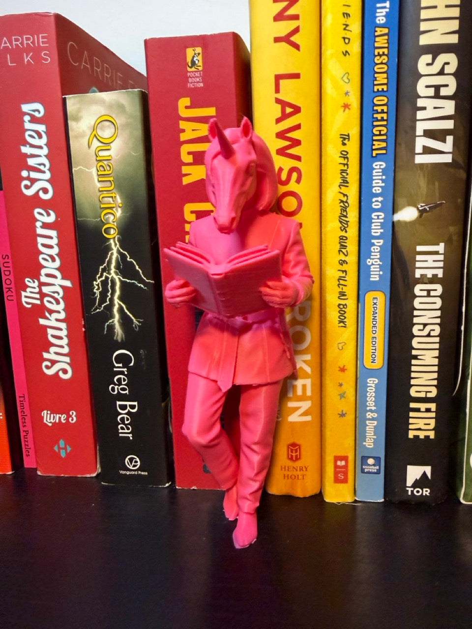 Unicorn Bookend – Funny Fantasy Bookshelf Decor
