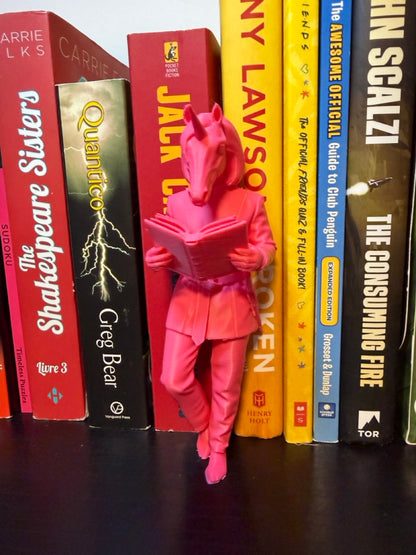 Unicorn Bookend – Funny Fantasy Bookshelf Decor