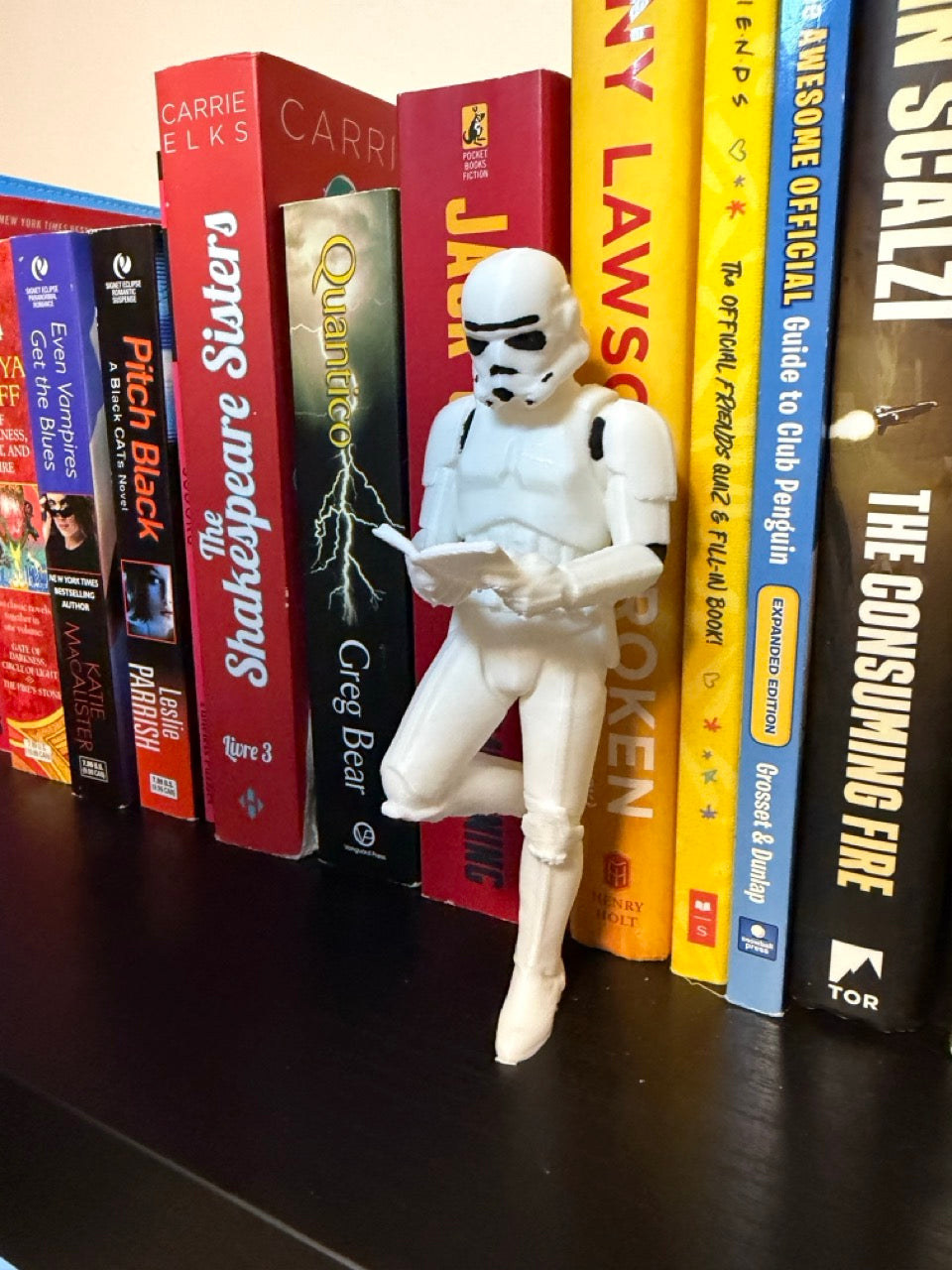 Star Warriors Inspired Bookend Set