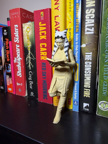 Star Warriors Inspired Bookend Set