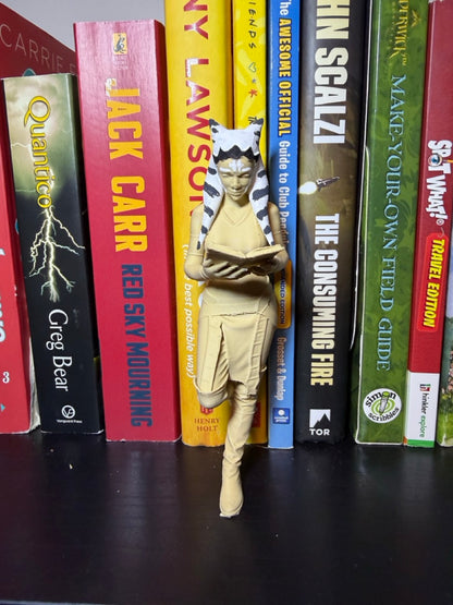 Star Warriors Inspired Bookend Set