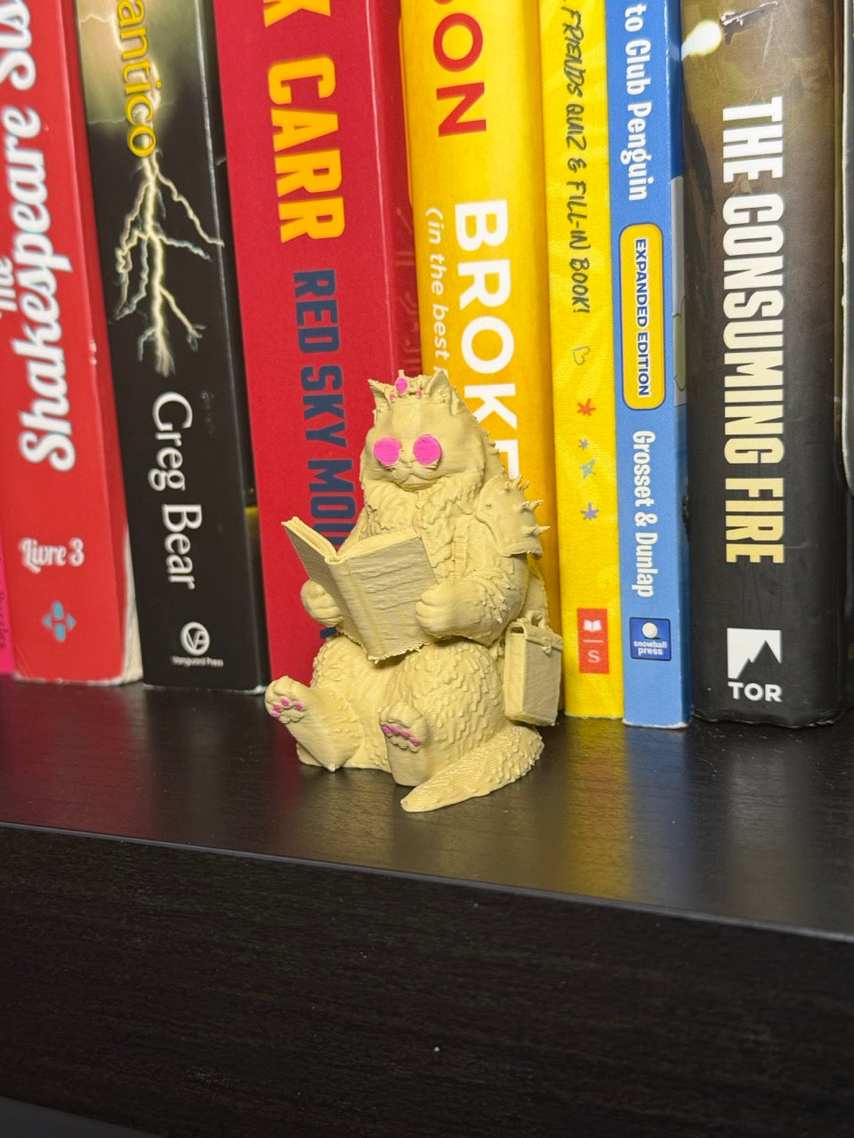 Dungeon Crawler Reader Bookend
