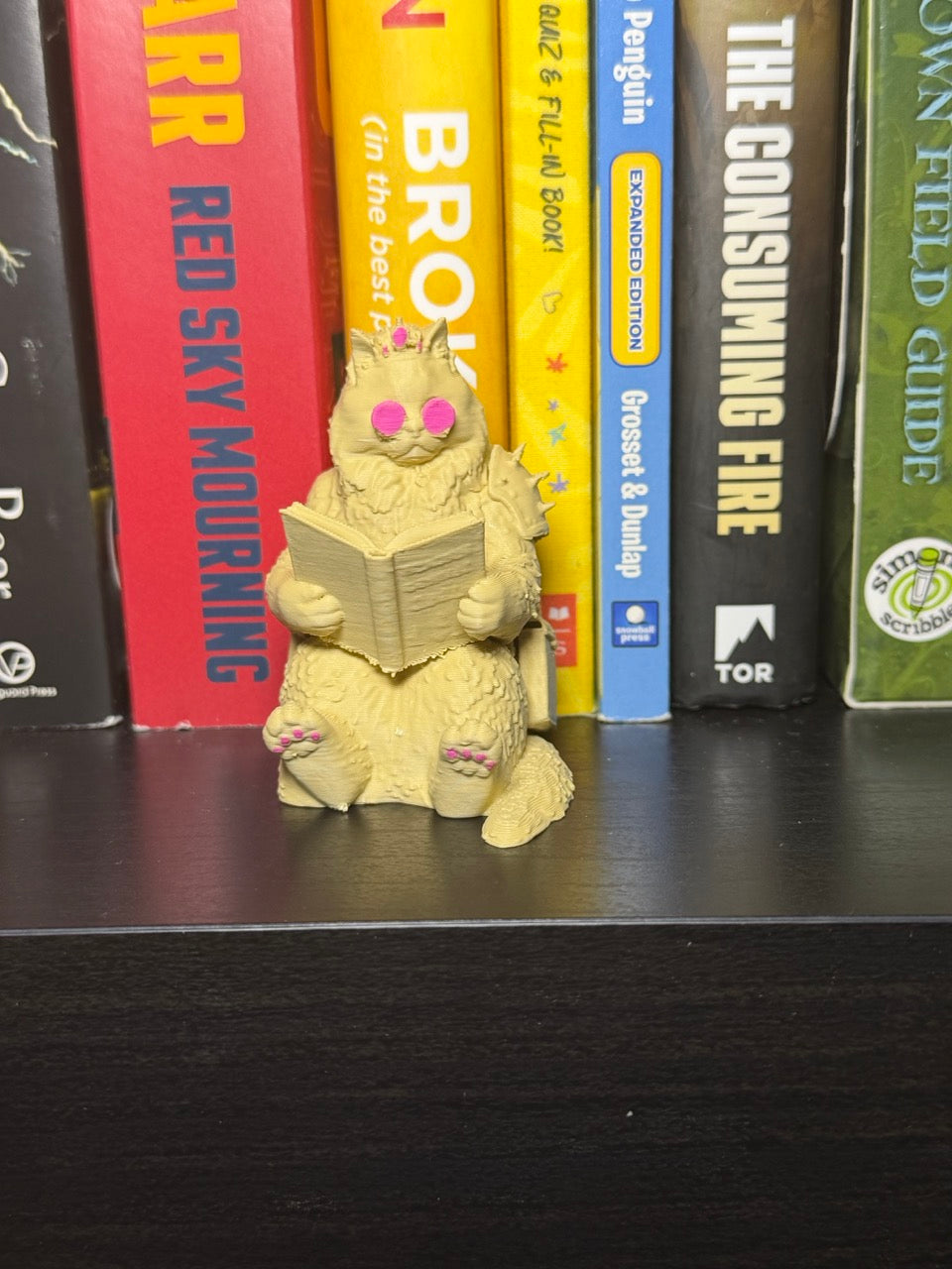 Dungeon Crawler Reader Bookend