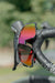 Polarized Cycling Glasses 2 Lens Photochromic Glasses Bike Glass - WaeW