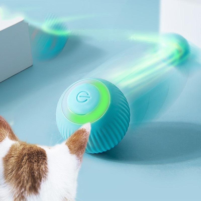 Smart Cat Ball