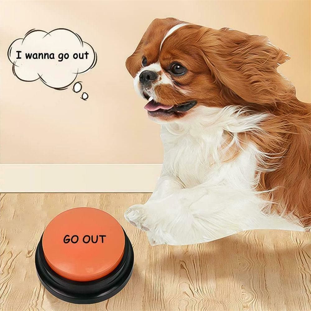 Recordable Talking Pet Button Toy - WaeW