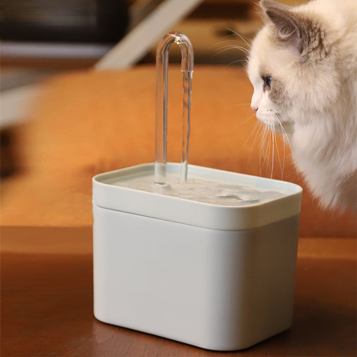 Cat Water Fountain Auto Filter And Electric - WaeW