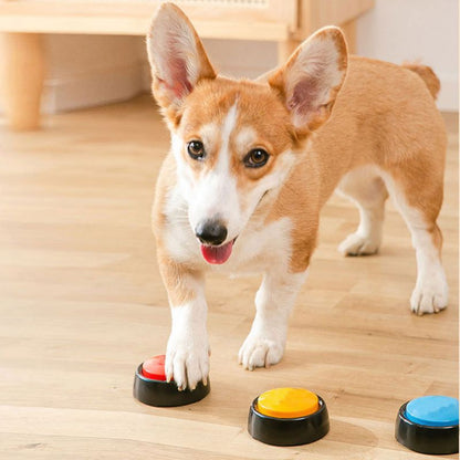 Recordable Talking Pet Button Toy - WaeW