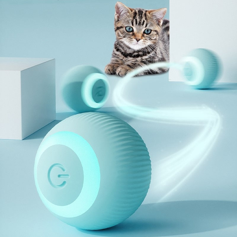 Smart Cat Ball