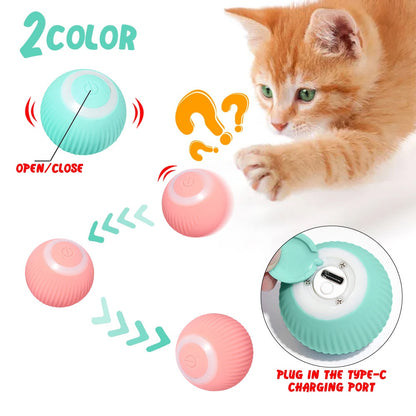 Smart Cat Ball